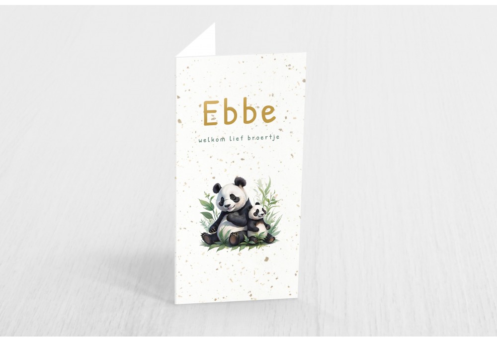Grote panda en kleine panda